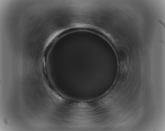 X0000097811319200803141110