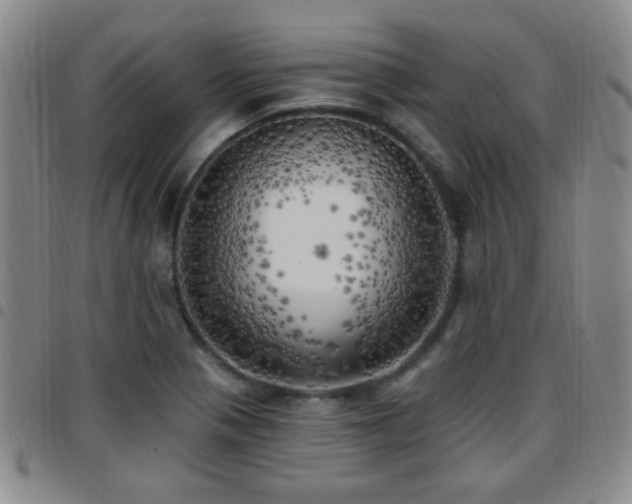 X0000097811321200803141110