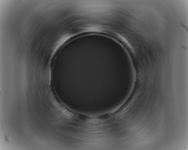 X0000097811323200803141110