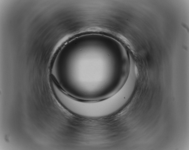 X0000097811326200803141110