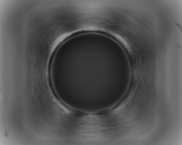 X0000097811327200803141110