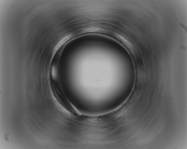X0000097811330200803141110