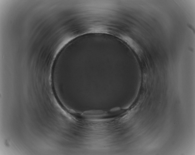 X0000097811331200803141110