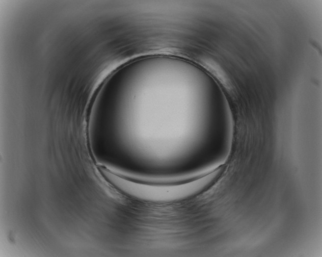 X0000097811332200803141110