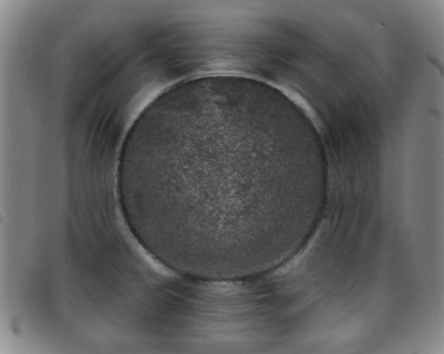 X0000097811333200803141110