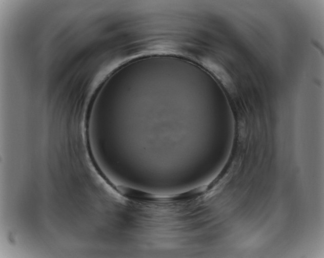 X0000097811334200803141110