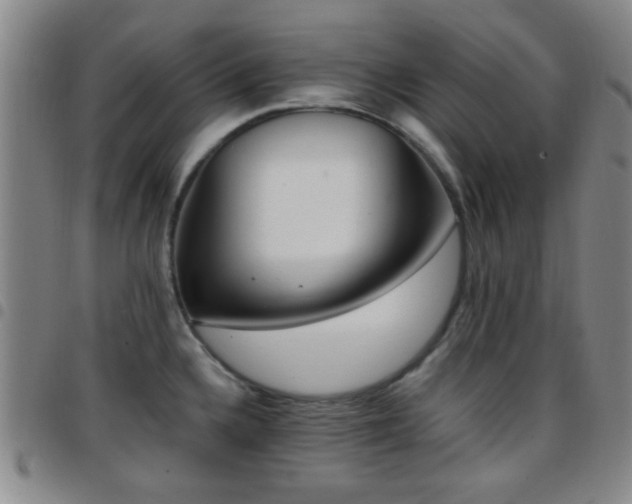 X0000097811336200803141110