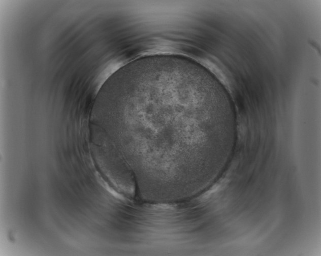 X0000097811337200803141110
