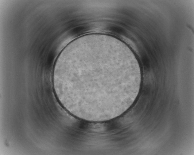 X0000097811338200803141110