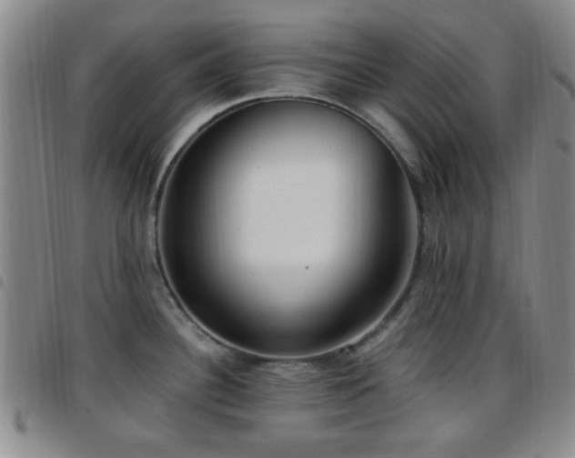 X0000097811340200803141110