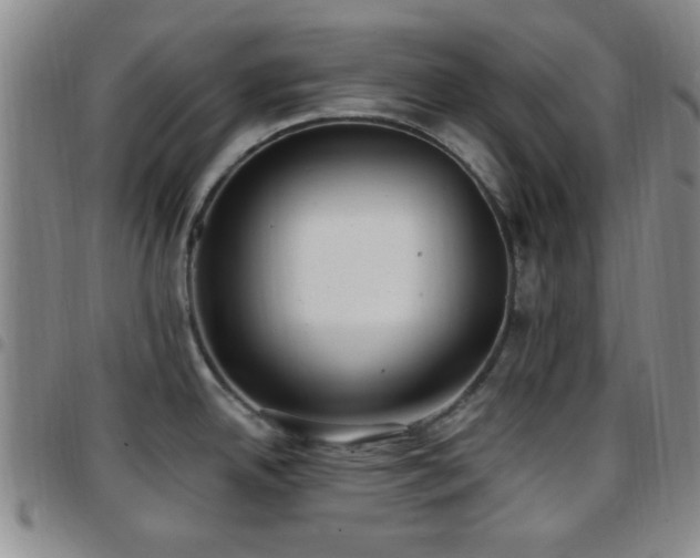 X0000097811342200803141110
