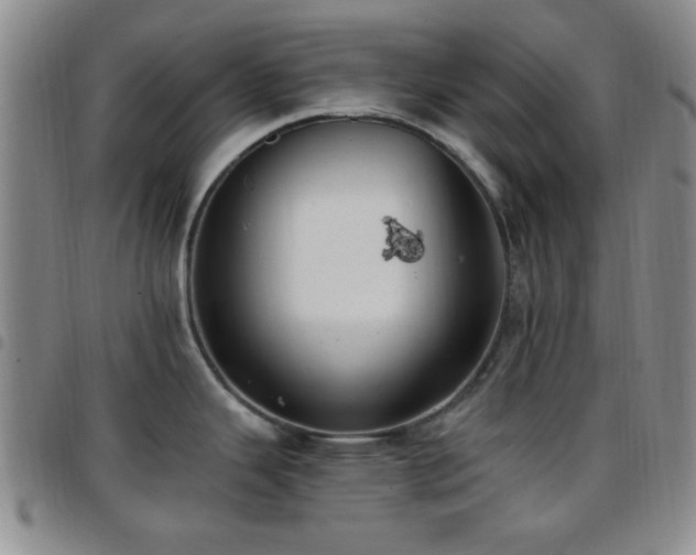 X0000097811343200803141110