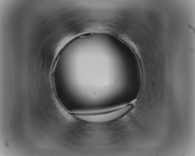 X0000097811344200803141110