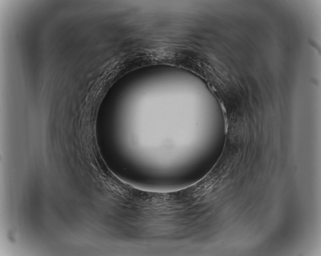 X0000097811345200803141110