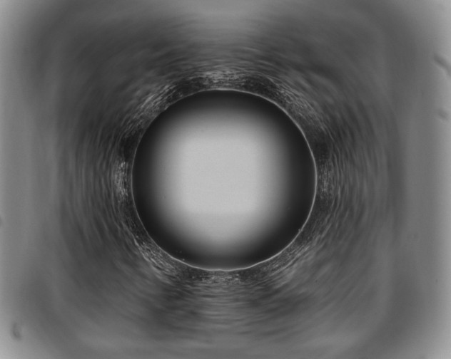 X0000097811346200803141110