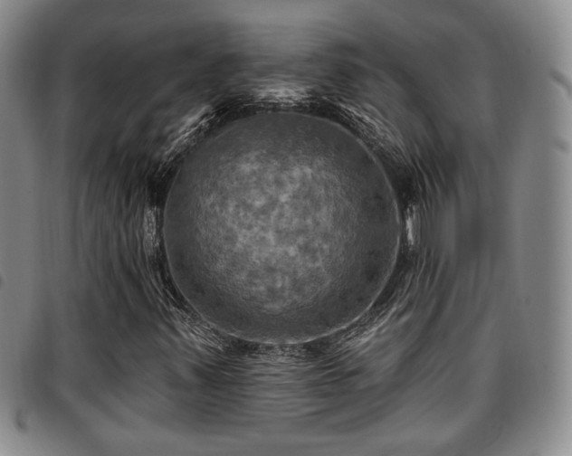 X0000097811347200803141110