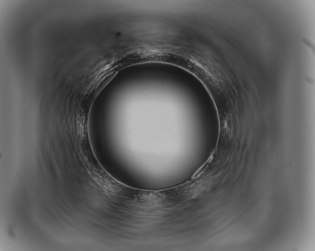 X0000097811348200803141110