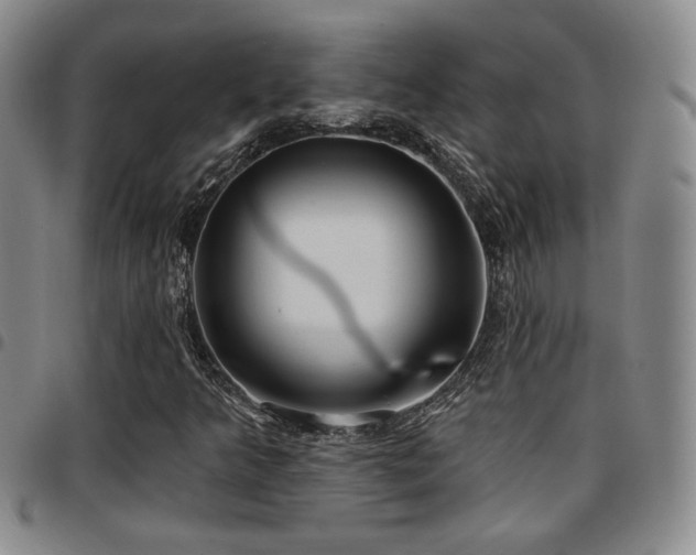 X0000097811349200803141110