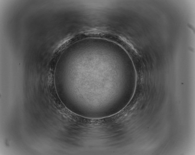 X0000097811350200803141110
