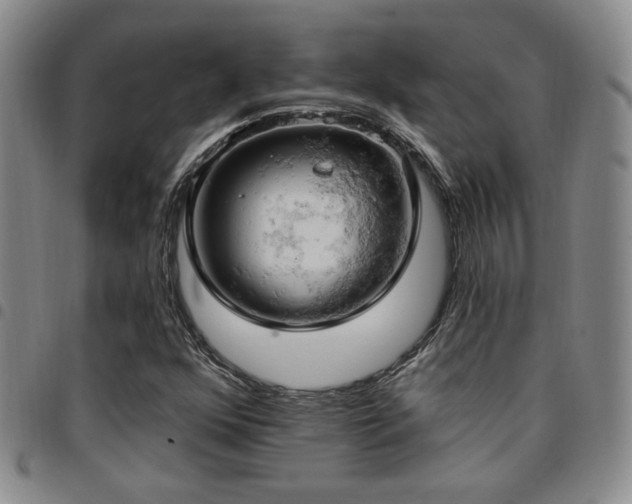 X0000097811352200803141110