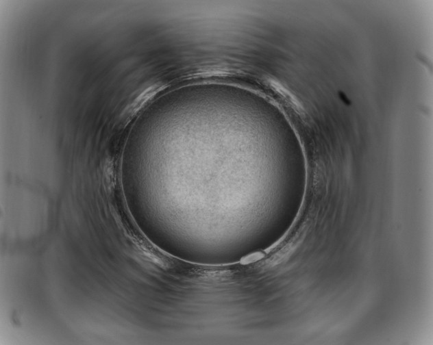 X0000097811353200803141110