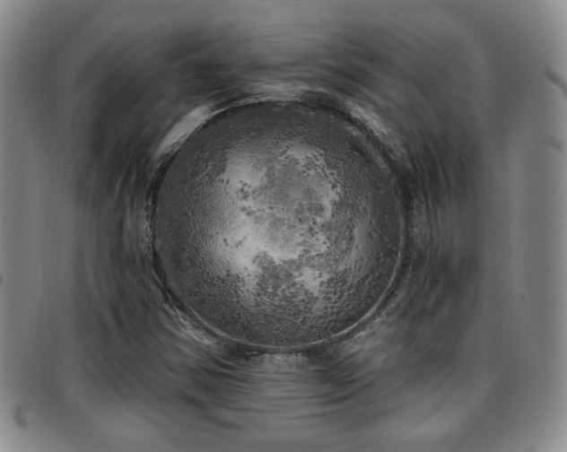 X0000097811354200803141109