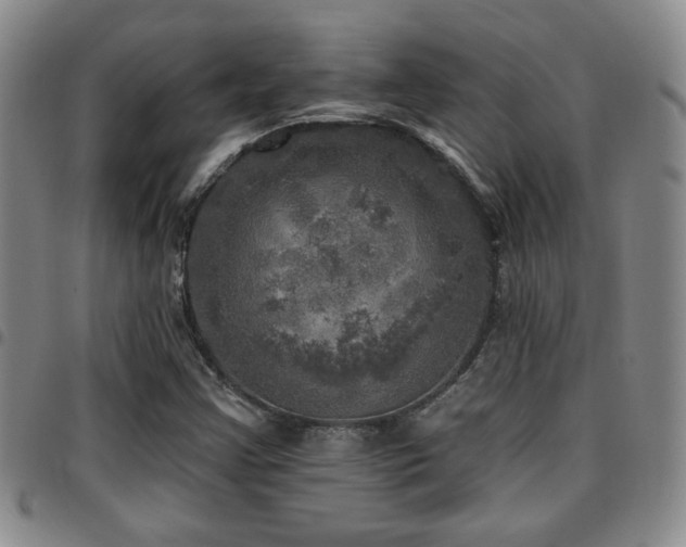 X0000097811355200803141109