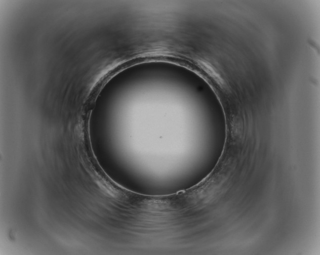 X0000097811356200803141109
