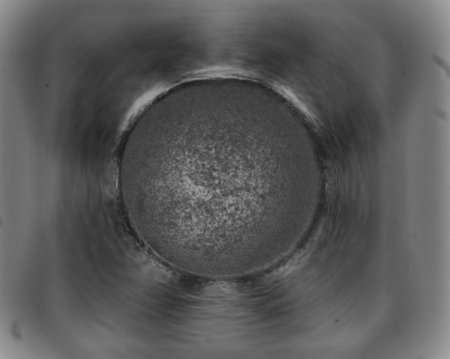 X0000097811358200803141109