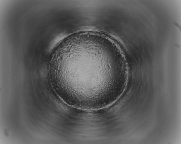 X0000097811359200803141109