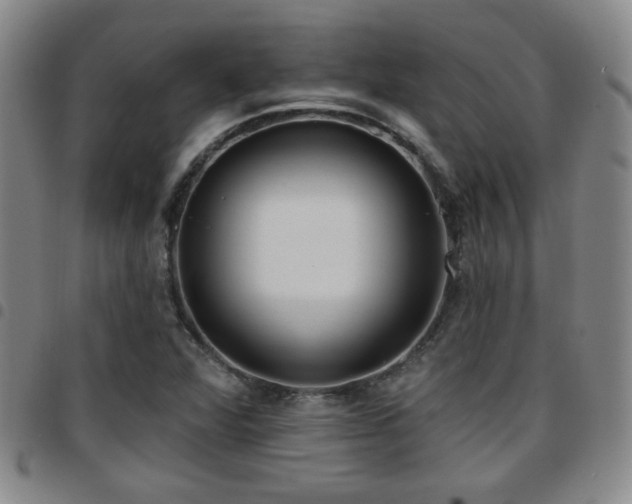 X0000097811360200803141109