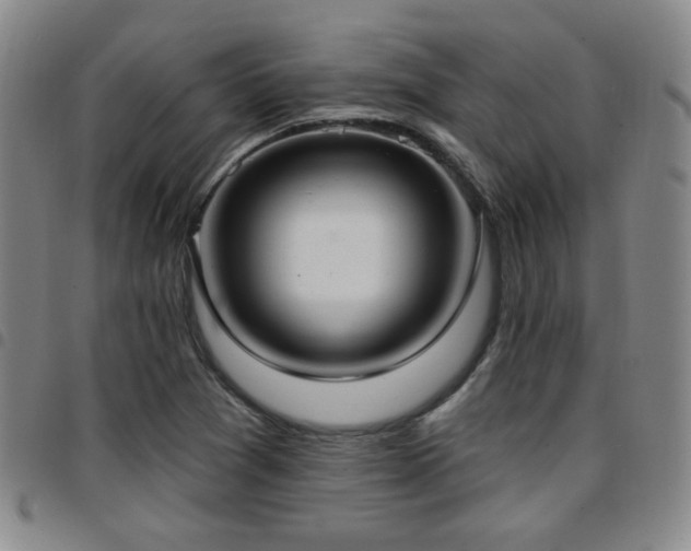 X0000097811361200803141109