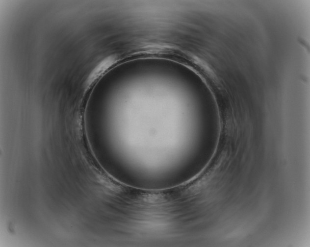 X0000097811362200803141109