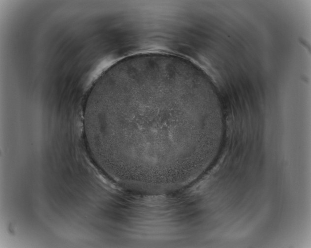 X0000097811363200803141109