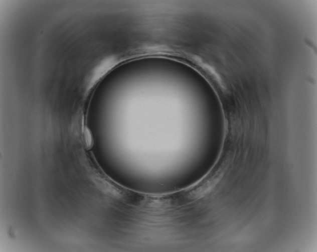 X0000097811365200803141109