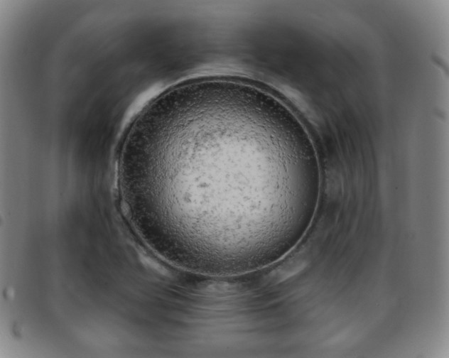X0000097811366200803141109