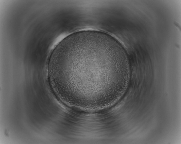 X0000097811367200803141109