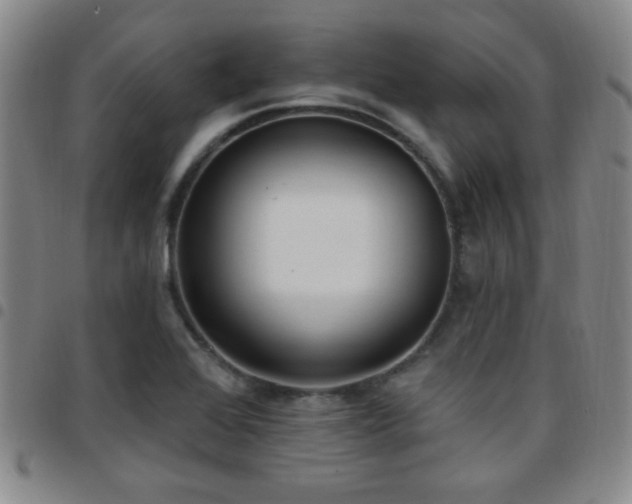 X0000097811368200803141109