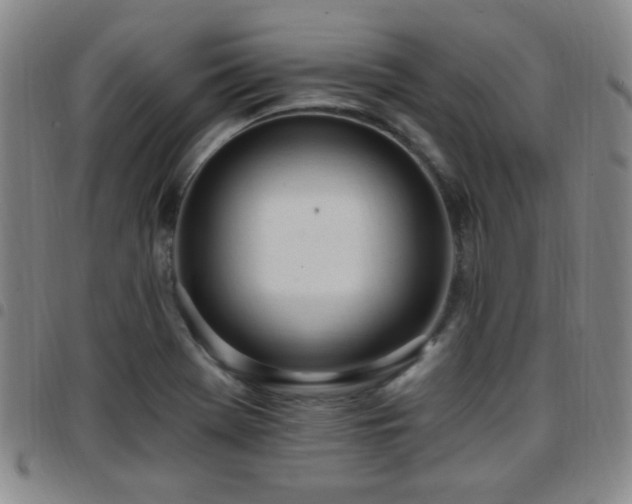 X0000097811369200803141109