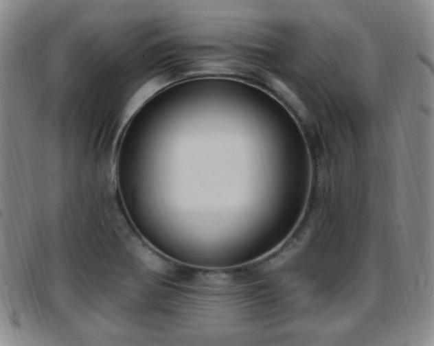 X0000097811370200803141109