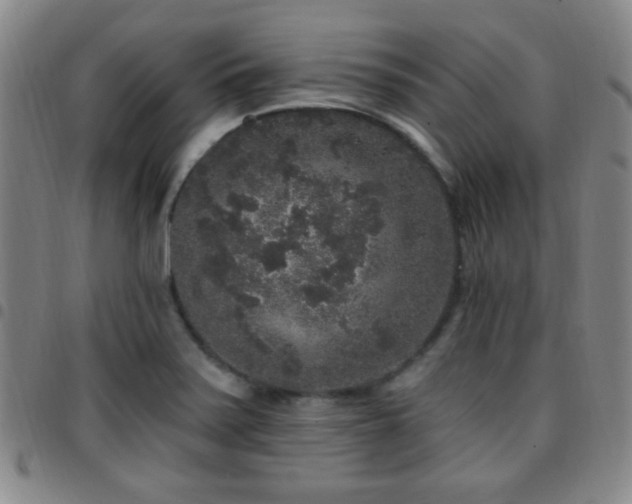 X0000097811371200803141109