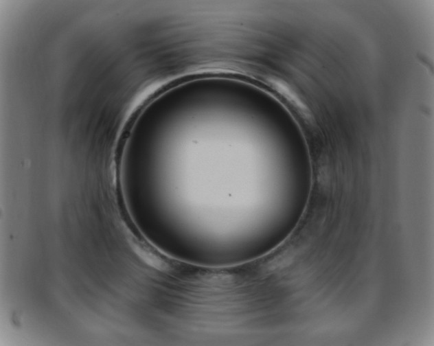 X0000097811372200803141109