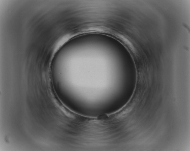 X0000097811373200803141109
