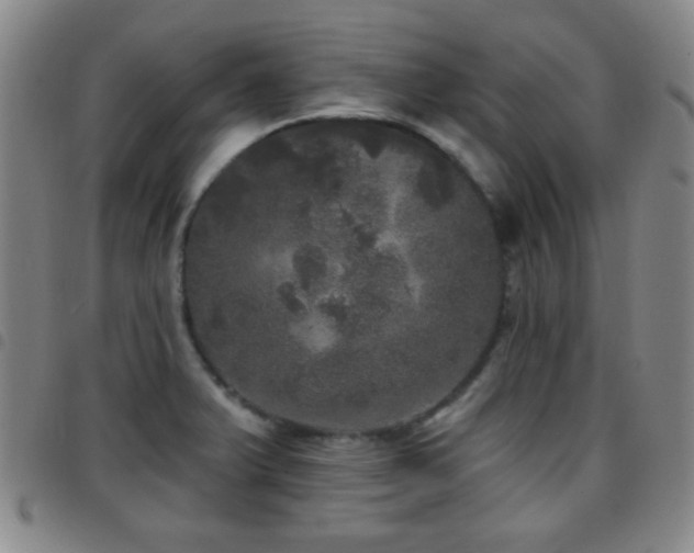 X0000097811375200803141109