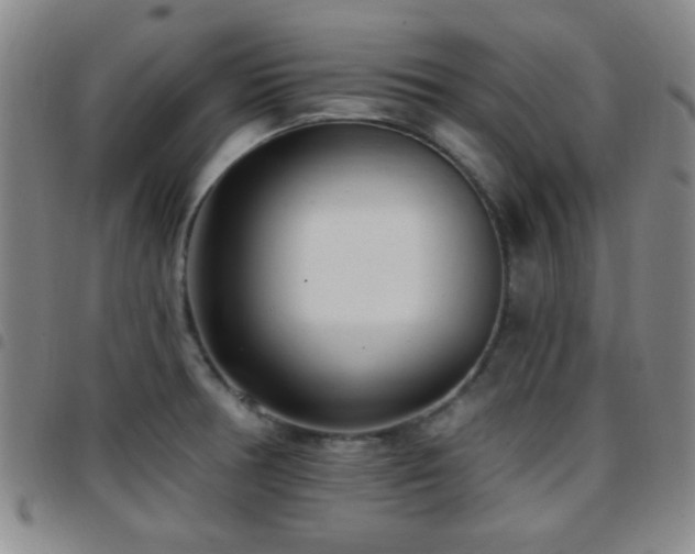 X0000097811378200803141109