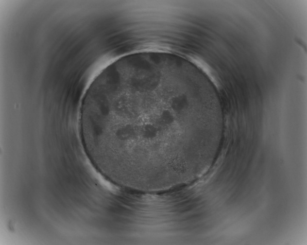 X0000097811379200803141109