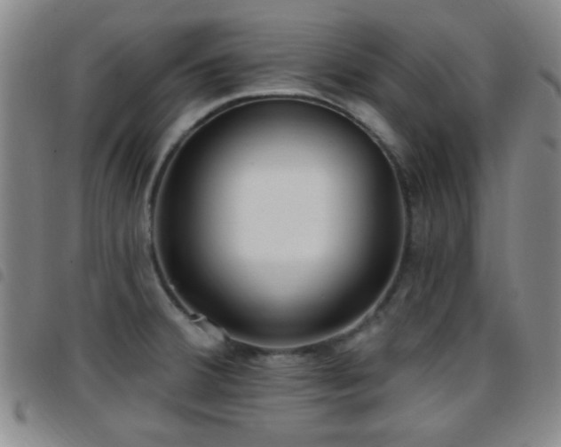 X0000097811380200803141109