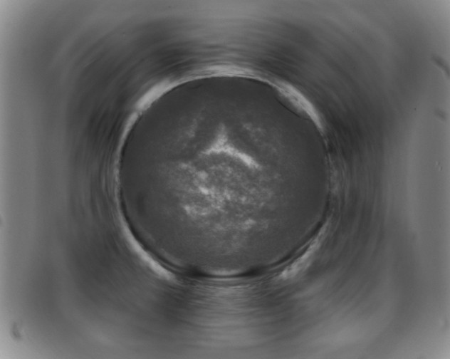 X0000097811381200803141109