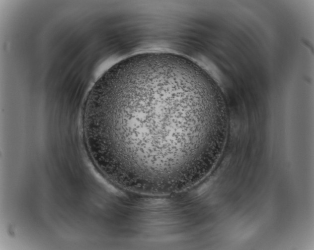 X0000097811382200803141109