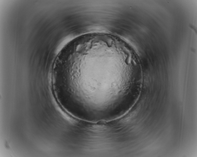 X0000097811383200803141109
